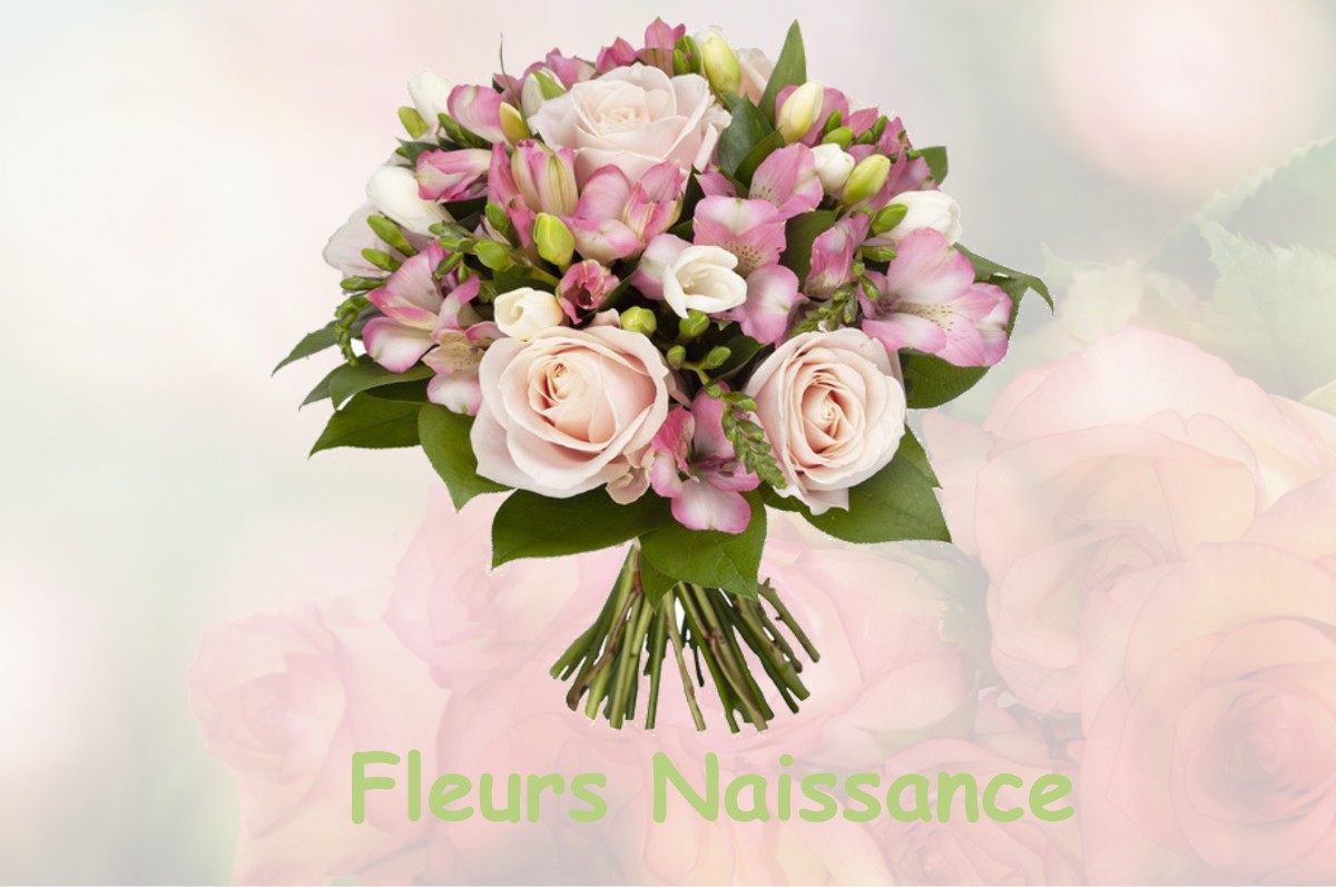 fleurs naissance CARROS