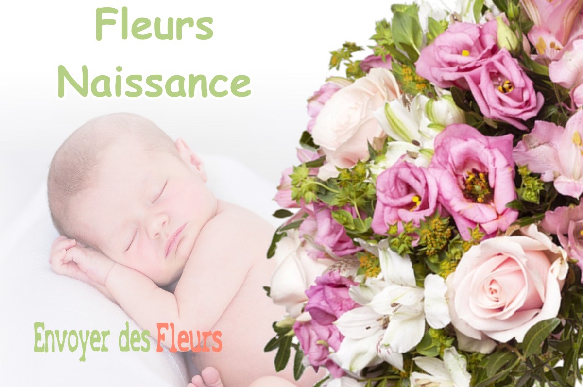 lIVRAISON FLEURS NAISSANCE à CARROS